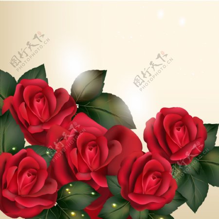 浪漫玫瑰花矢量背景图设计