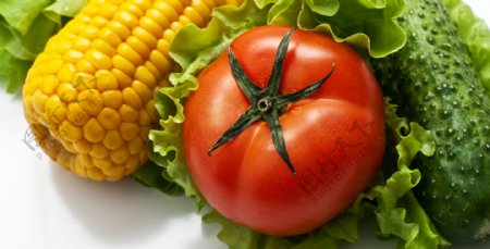 玉米西红柿图片