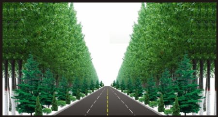 公路绿化效果图