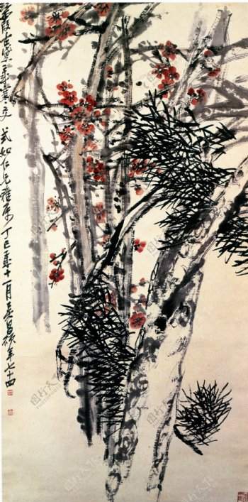 中国松树