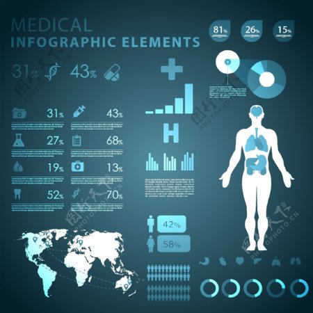 人体解剖信息图表图片