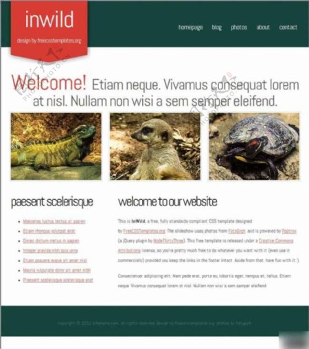野生动物信息介绍网页模板