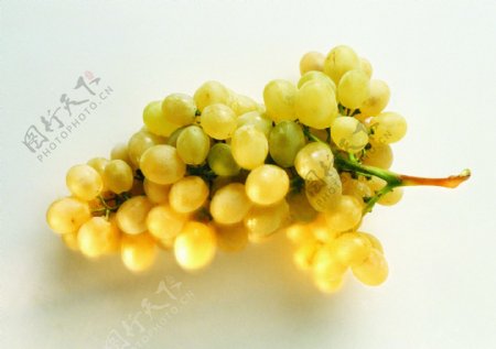金黄色葡萄