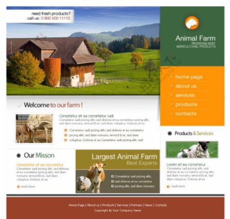 动物农场网站psd模板