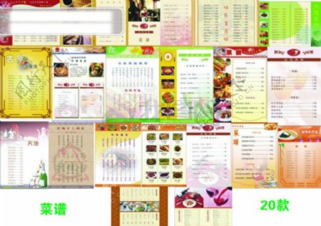 2009菜谱矢量模板高档菜谱设计高档菜谱设计欣赏