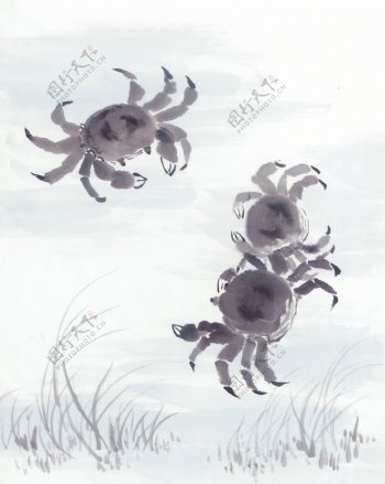 中华艺术绘画古画绘画鱼水生植物金鱼螃蟹中国古代绘画