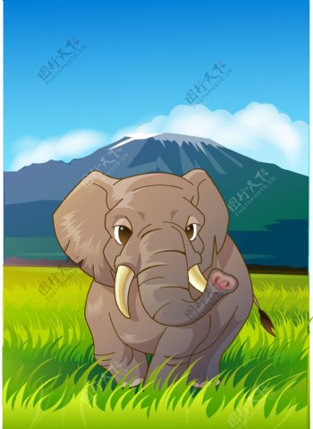 可爱动物绿色大象图片