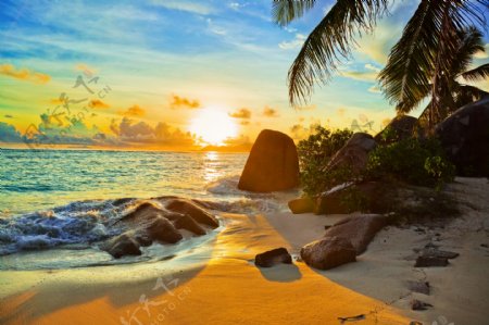 热带海滩海边风景图片