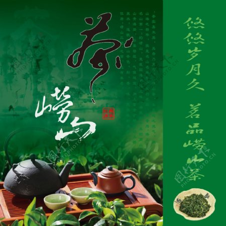 崂山茶图片