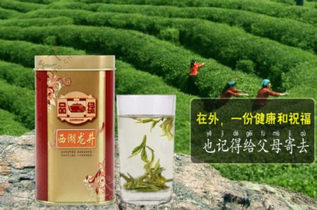 茶叶淘宝详情页海报
