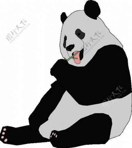 熊猫的剪辑艺术3
