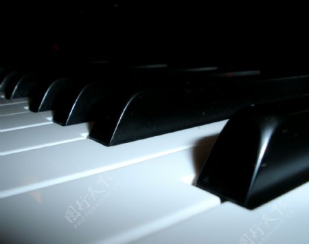 黑白琴键图片