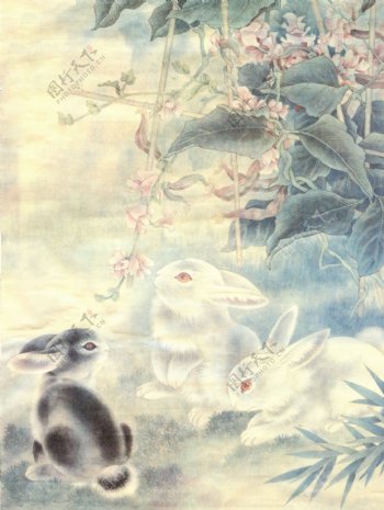 生肖兔国画23