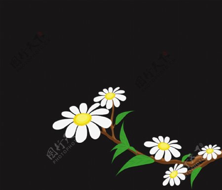 白色的花分背景
