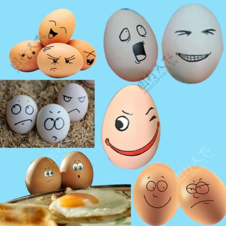 创意鸡蛋表情