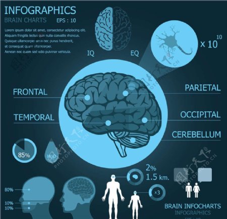 大脑医学医疗设计图片