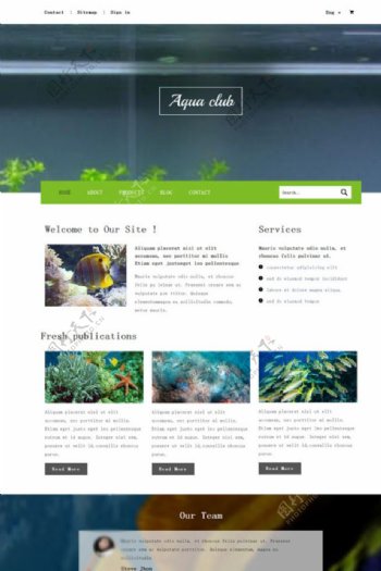 海底生物展示网站模板图片