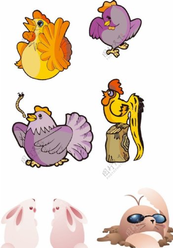 卡通兔子母鸡图片