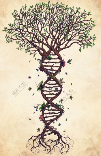 树形DNA图片