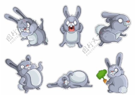 卡通兔子图片