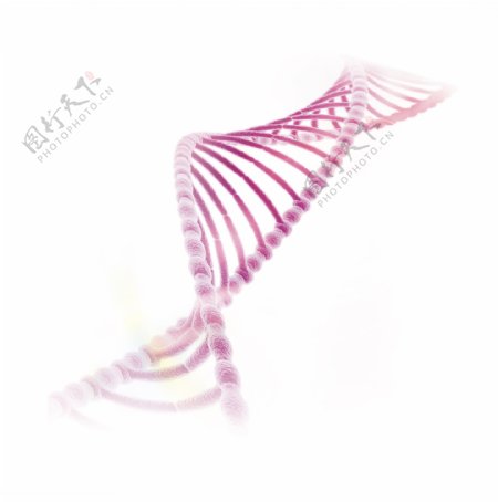 DNA生物肽链图片