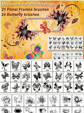 极漂亮的高清晰24款蝴蝶花纹及21款时尚蒙版PS笔刷