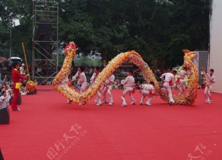 铜梁龙图片