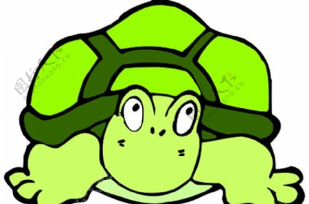 绿龟图片