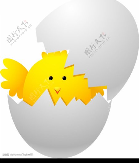 蛋壳里的小鸡图片