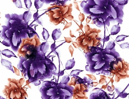 特色棕紫花图片