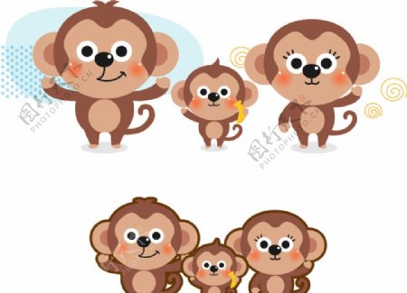 可爱卡通小动物猴子图片
