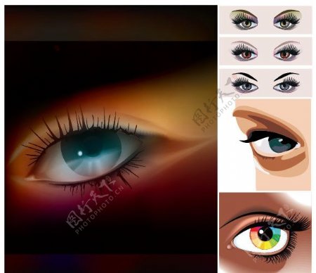 女性眼睛矢量素材图片