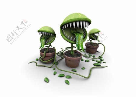 植物大战僵尸植物怪物图片