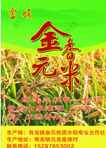 畲族香米图片