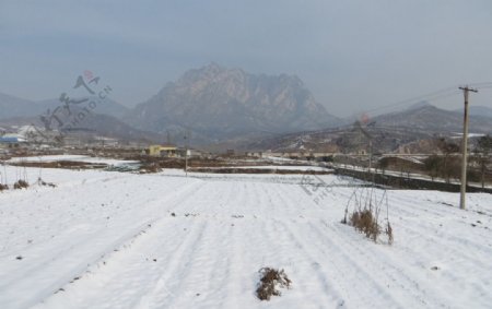 御寨山冬景图片