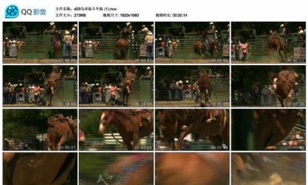 骑野马比赛高清实拍视频素材
