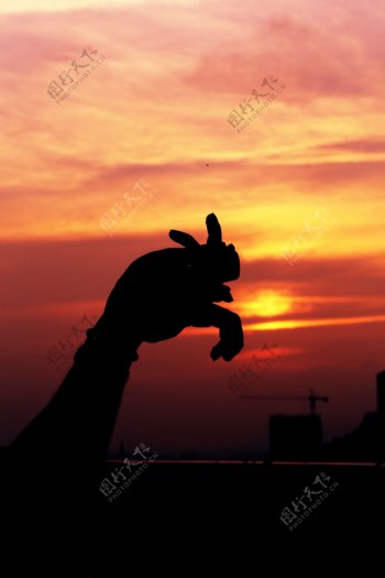 兔子剪影图片
