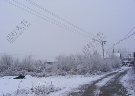 冬雪摄影图片
