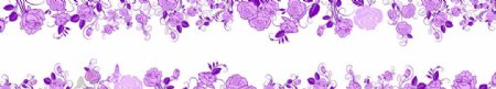 紫色玫瑰T台图片