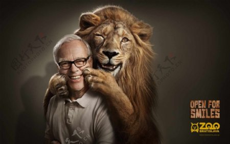 老人与狮子图片