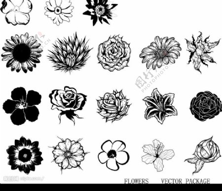 15种黑白花图片
