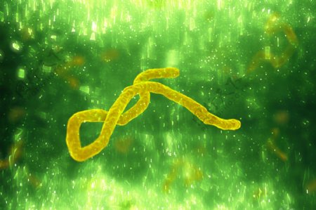 细菌病毒图片