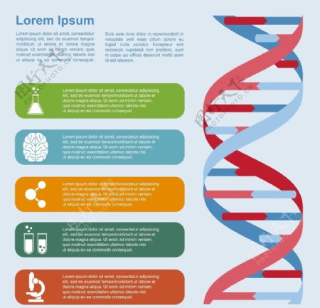 分子结构图片