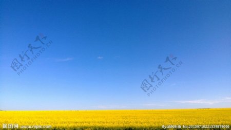蒙古美景图片