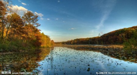 秋季沼泽湖美景图片