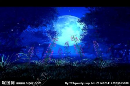 蓝色树影月亮背景视频
