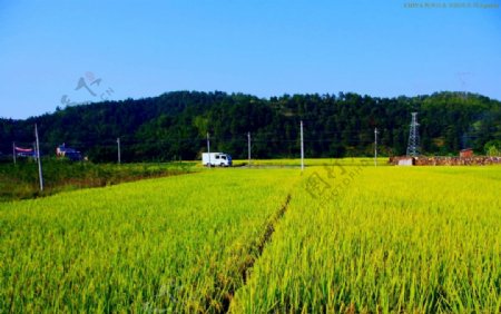 乡村田园风光图片