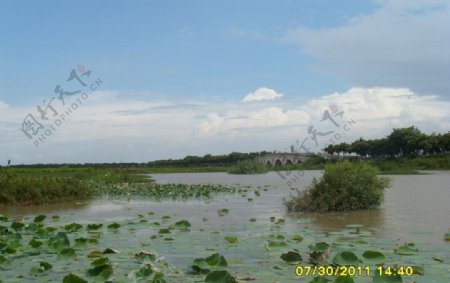 湿地公园图片