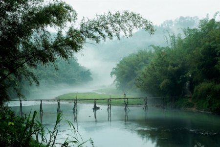 小桥流水竹海图片