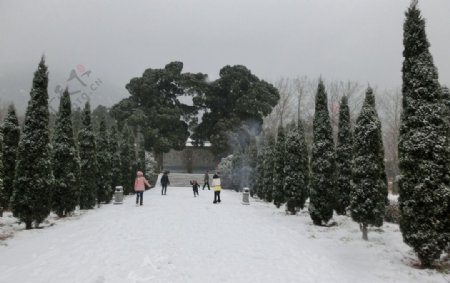 会善寺雪景图片